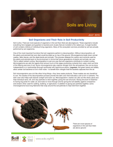 Soils are Living - Soil Science Society of America