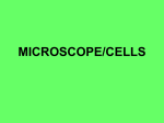 MICROSCOPE/CELLS