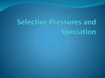 Selective Pressures and Speciation