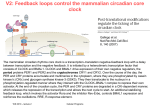 ppt - Chair of Computational Biology