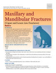 maxillary_and_mandibular_fractures