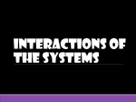 Interactions of Systems