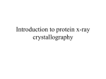 Introduction to Protein X