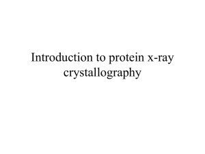 Introduction to Protein X