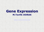 Gene Expression - M.Tevfik DORAK`s