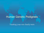 Human Pedigrees