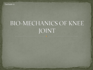 bio-mechanics of knee joint