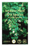 Invasive Plant Pest Species