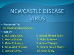 Newcastle disease virus