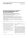 Head and neck squamous cell carcinoma cell lines: Established