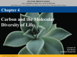 Biology II Honors Chapter 4 Carbon and Molecular Diversity Guided