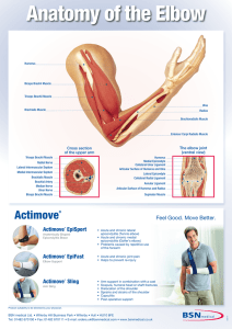 Actimove® - BSN medical India