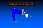 Part 3: Where Do Drugs Go?