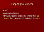 Esophagus/cancer physiopathology