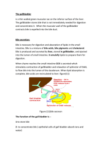 The gallbladder is a thin walled green muscular sac on the inferior