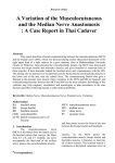 A Case Report in Thai Cadaver - TU-OSS