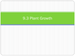 9.3 Plant Growth