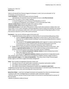 Anatomy Ch 2 101-111 [4-20