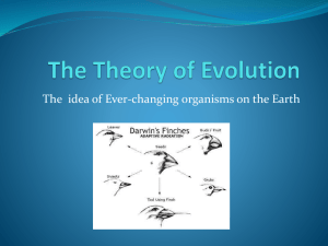 The Theory of Evolution Teacher