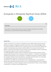 Ecologically or Biologically Significant Areas (EBSA)