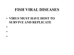 VIRUS DISEASES