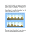 Alcohols, Aldehydes and Ketones