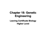 Chapter 18: Genetic Engineering Leaving Certificate Biology Higher