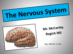Nervous System Unit