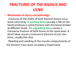 FRACTURES OF THE RADIUS AND ULNA