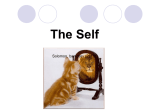 7.CB-Self Theory