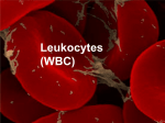 White Blood Cells