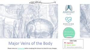 3-Major Veins of the Body