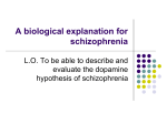 A biological explanation for schizophrenia