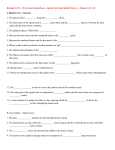 Pre-Lecture Questions - Spinal Cord and Spinal Nerves