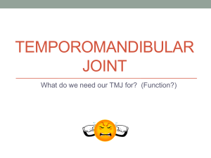 Temporomandibular joint