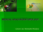 05.Medical arachnoentomology