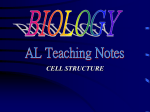 Cell Structure