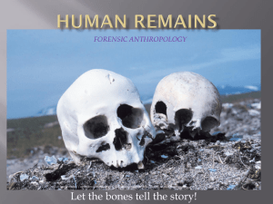 Human Remains