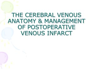 Cerebral venous system