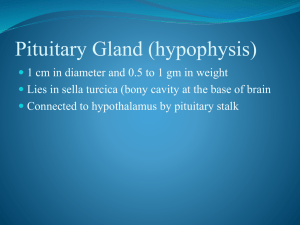 to Pituitary Gland ppt