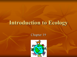 Introduction to Ecology