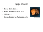 Epigenetics of Cancer