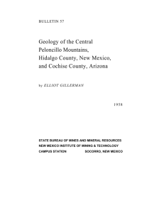 Geology of the Central Peloncillo Mountains, Hidalgo County, New