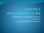 HEE Chapter 3 Organization of Life