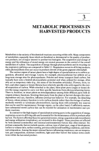 METABOLIC PROCESSES IN HARVESTED PRODUCTS