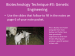 Biotechnology Technique #3: Genetic Engineering