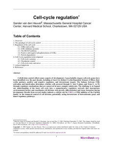 Cell-cycle regulation