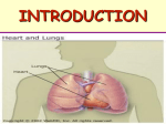 The Oxygen Transport System