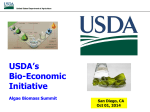 USDA Biomass Facility Funding Case Studies