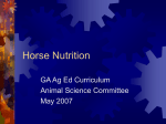 Horse Nutrition